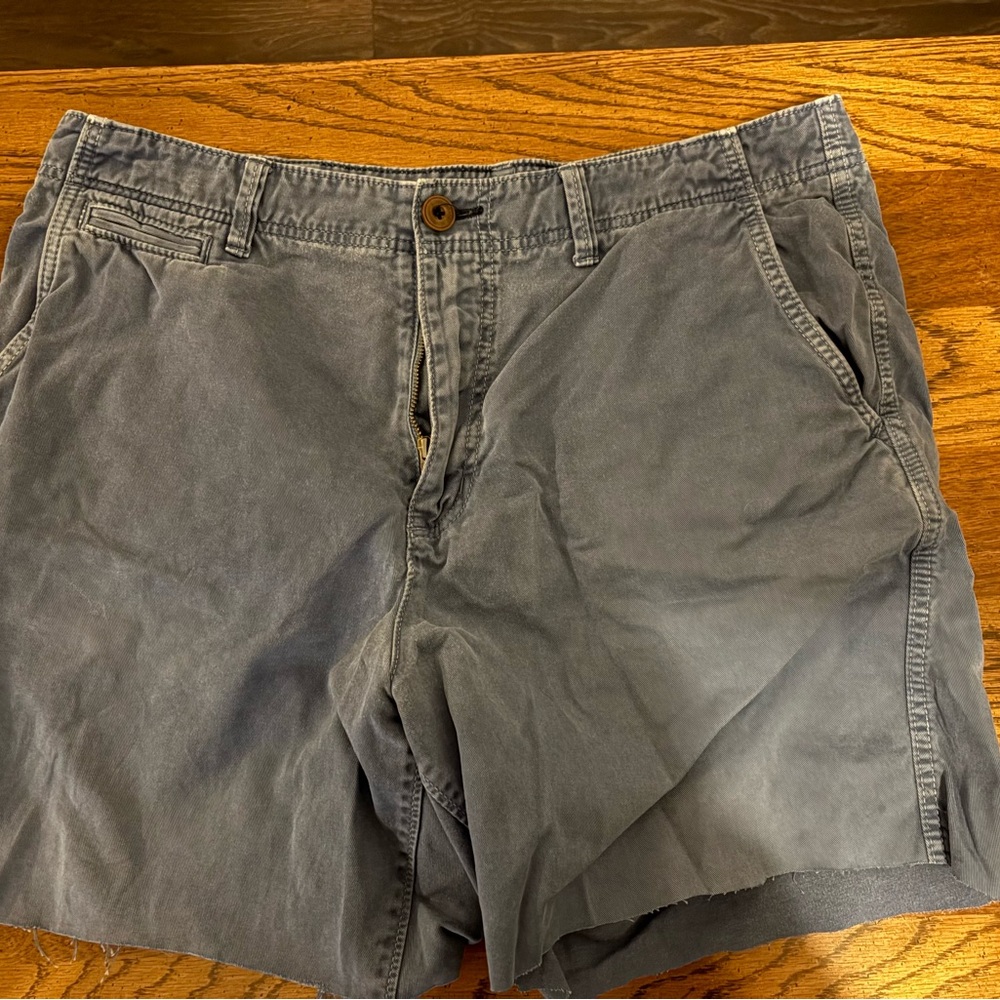 American Eagle Outfitters Charcoal Flat Front Shorts